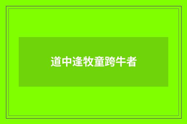 道中逢牧童跨牛者