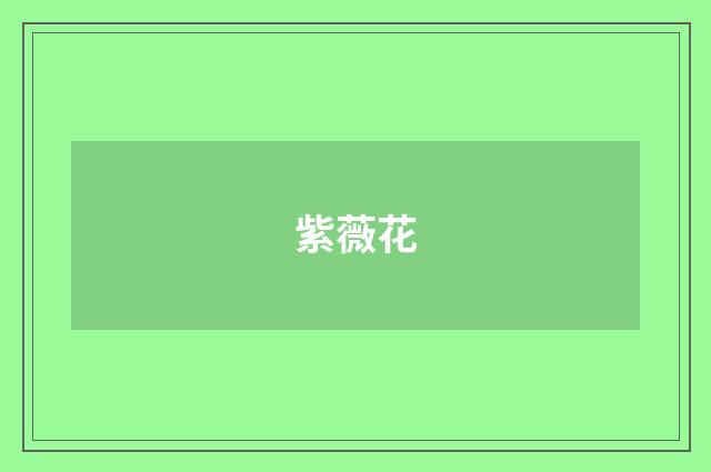 紫薇花
