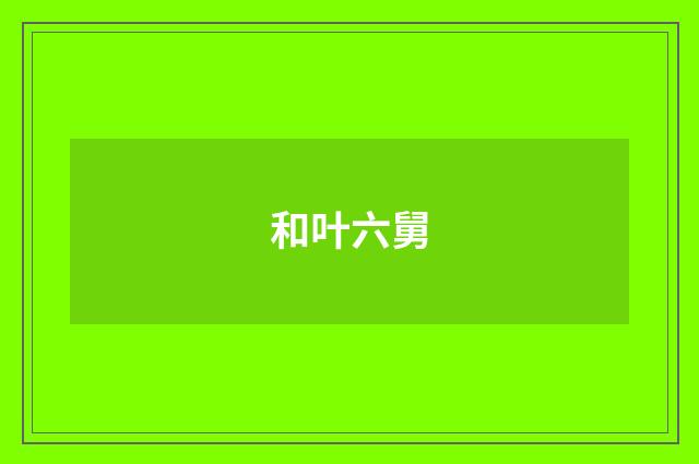 和叶六舅