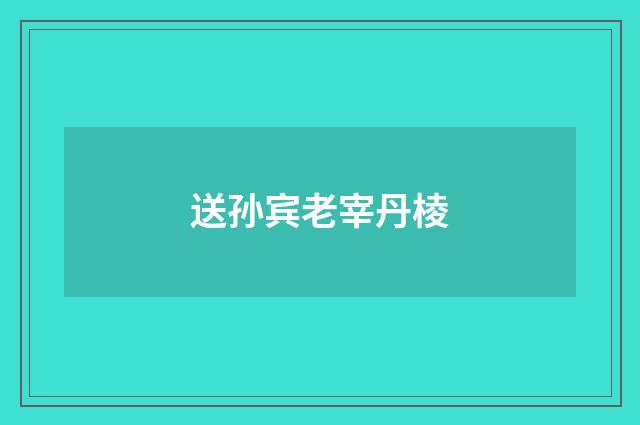 送孙宾老宰丹棱