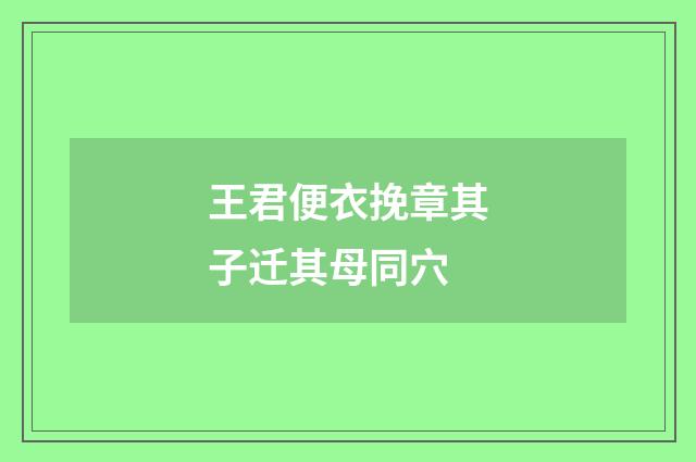 王君便衣挽章其子迁其母同穴