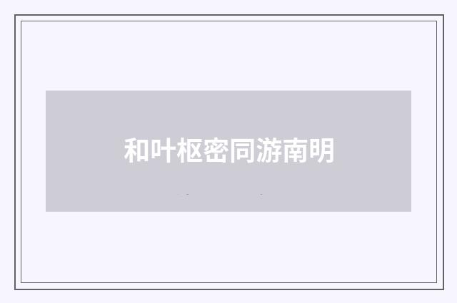 和叶枢密同游南明