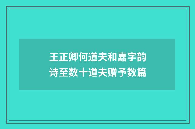 王正卿何道夫和嘉字韵诗至数十道夫赠予数篇