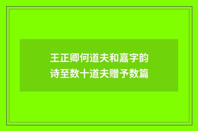 王正卿何道夫和嘉字韵诗至数十道夫赠予数篇