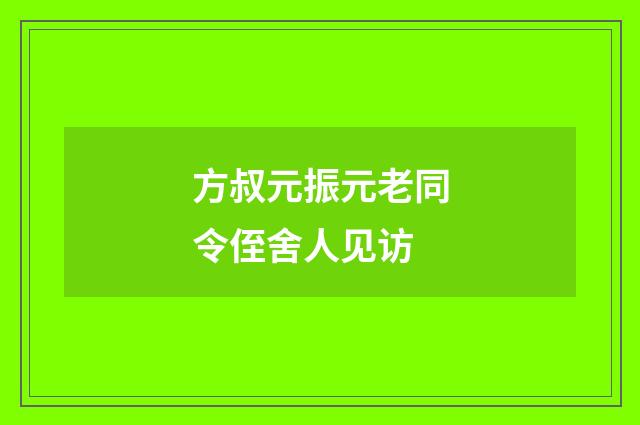 方叔元振元老同令侄舍人见访