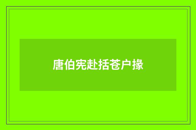唐伯宪赴括苍户掾