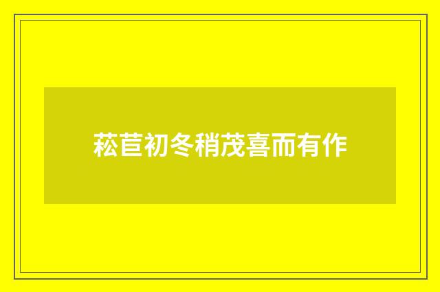 菘苣初冬稍茂喜而有作