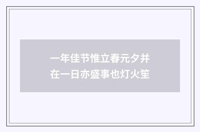 一年佳节惟立春元夕并在一日亦盛事也灯火笙