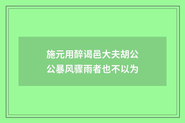 施元用醉谒邑大夫胡公公暴风骤雨者也不以为