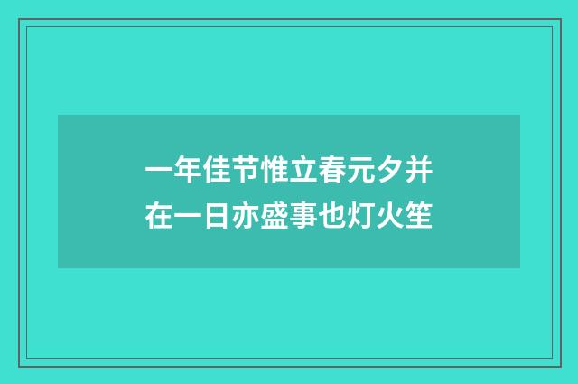一年佳节惟立春元夕并在一日亦盛事也灯火笙