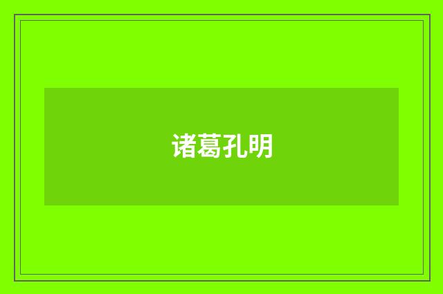 诸葛孔明