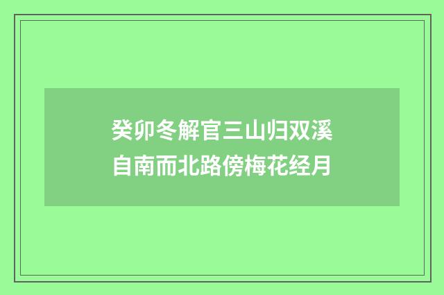 癸卯冬解官三山归双溪自南而北路傍梅花经月