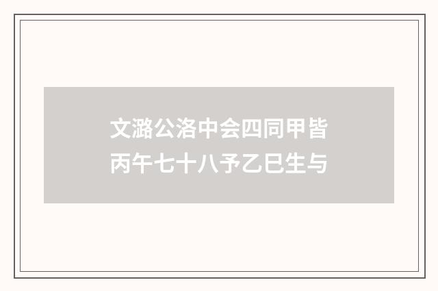 文潞公洛中会四同甲皆丙午七十八予乙巳生与