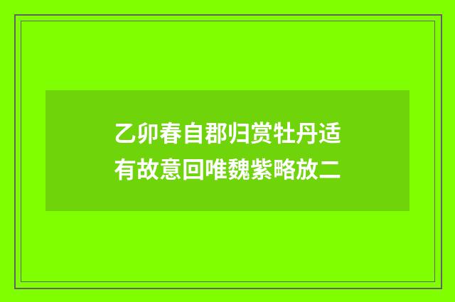 乙卯春自郡归赏牡丹适有故意回唯魏紫略放二