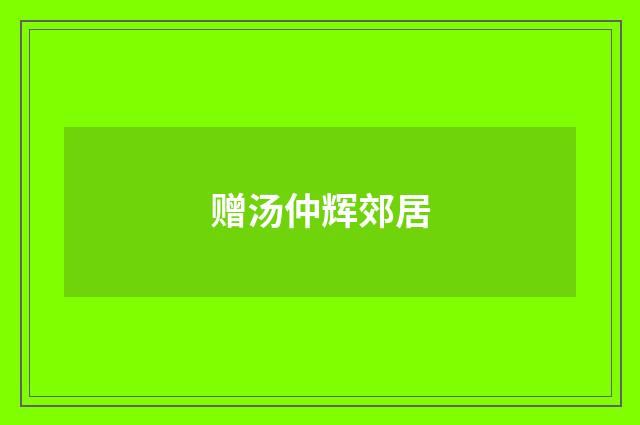 赠汤仲辉郊居