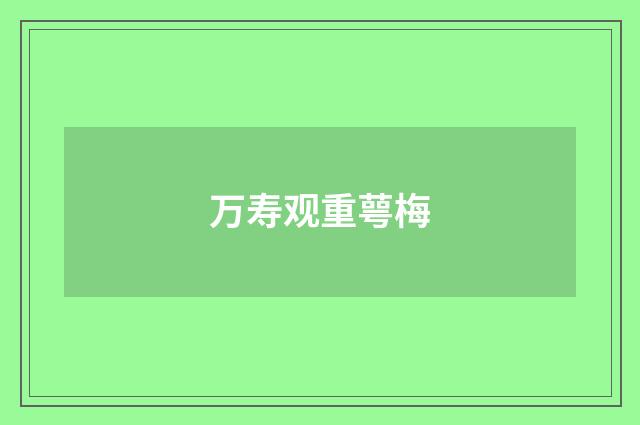 万寿观重萼梅