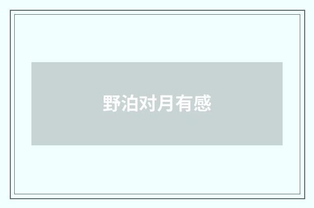 野泊对月有感