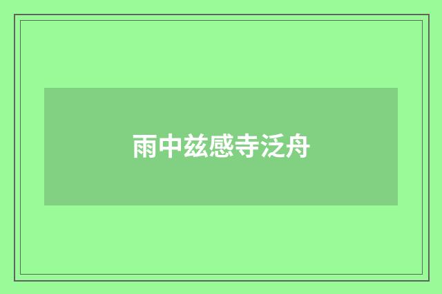 雨中兹感寺泛舟