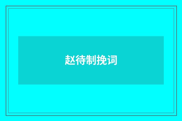 赵待制挽词