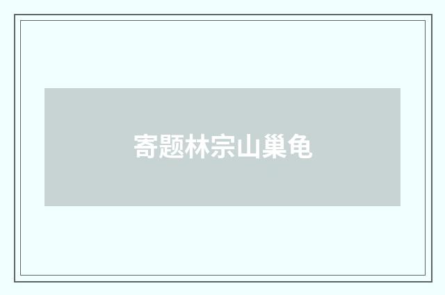 寄题林宗山巢龟
