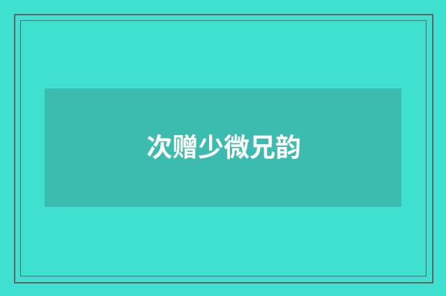 次赠少微兄韵
