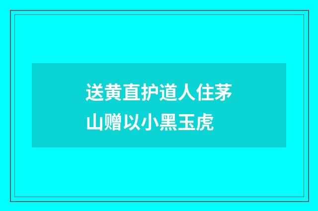 送黄直护道人住茅山赠以小黑玉虎