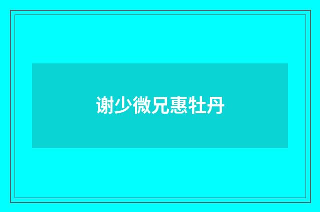 谢少微兄惠牡丹