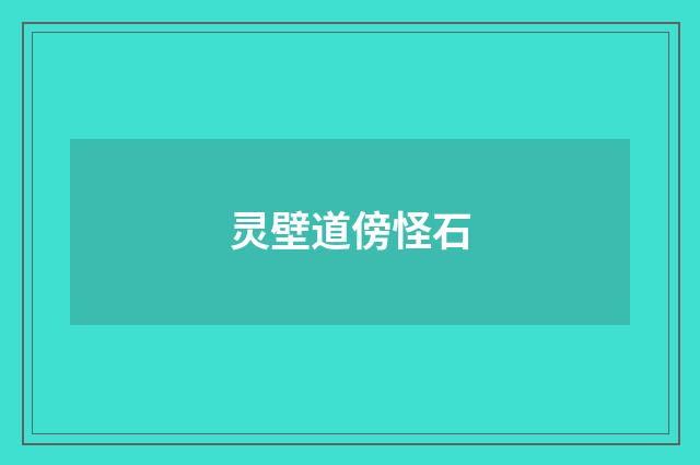 灵壁道傍怪石
