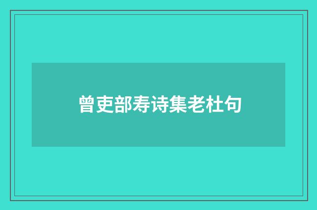 曾吏部寿诗集老杜句