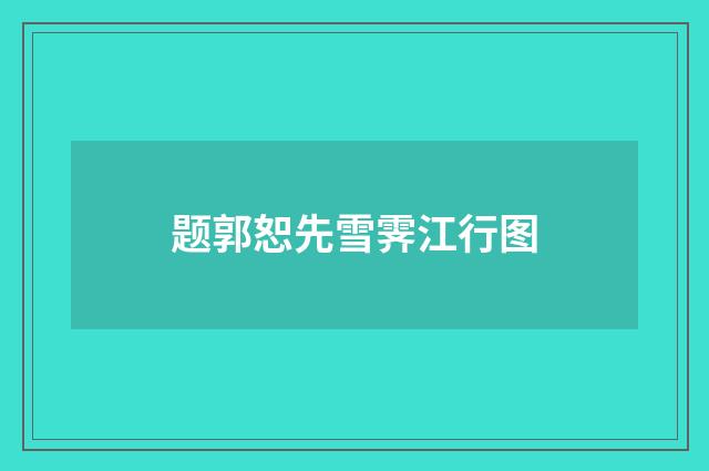 题郭恕先雪霁江行图