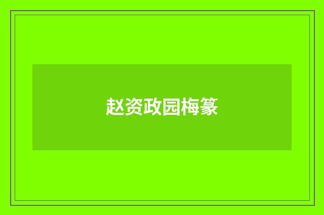 赵资政园梅篆