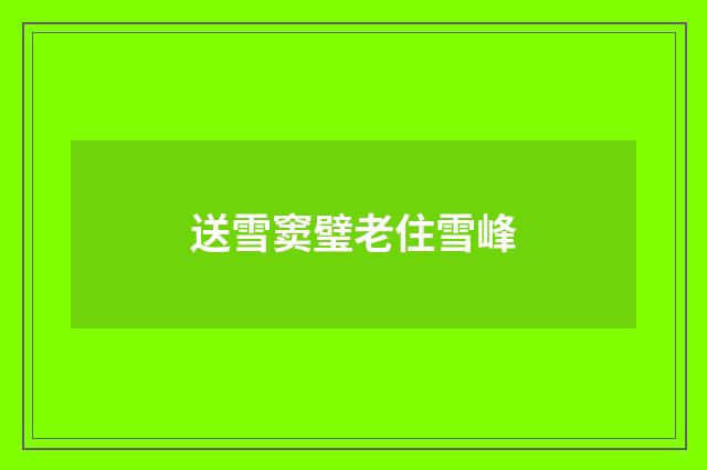 送雪窦璧老住雪峰
