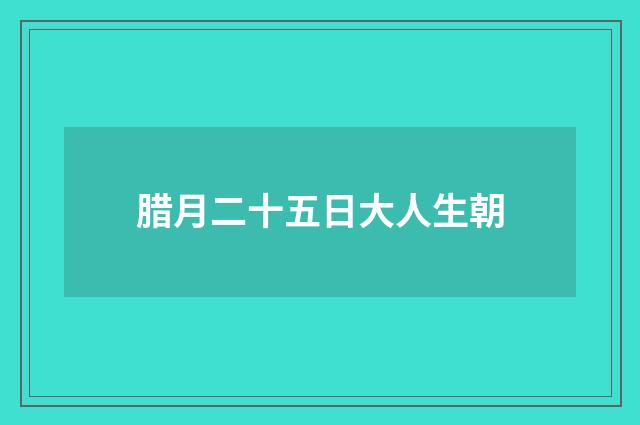 腊月二十五日大人生朝