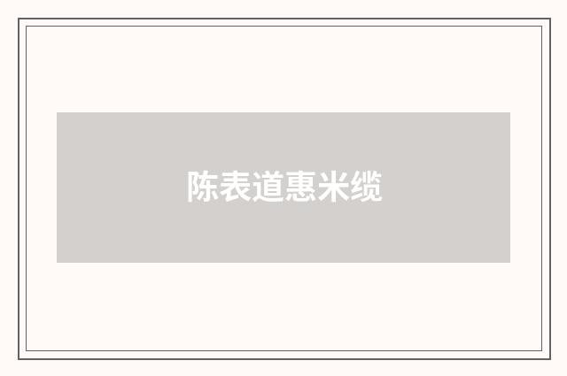 陈表道惠米缆