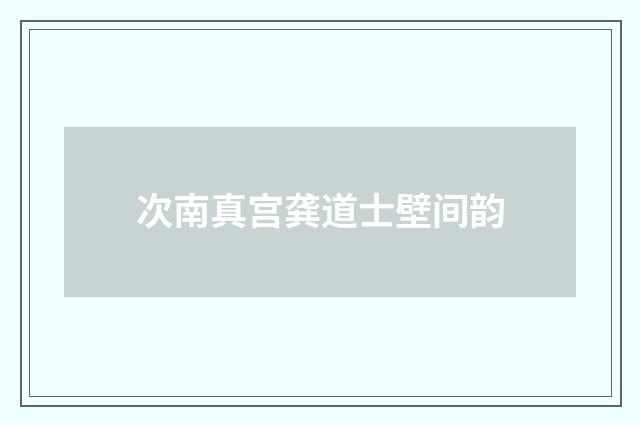 次南真宫龚道士壁间韵