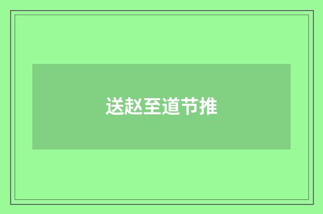送赵至道节推