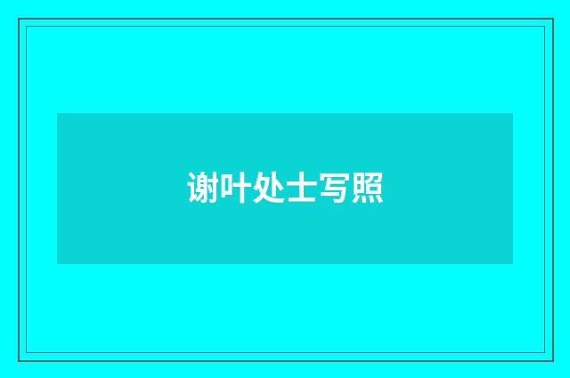 谢叶处士写照
