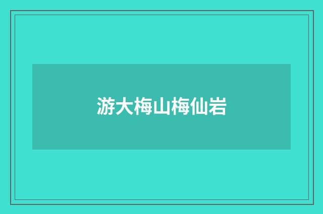 游大梅山梅仙岩