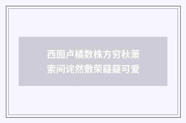 西囿卢橘数株方穷秋萧索间诧然敷荣薿薿可爱