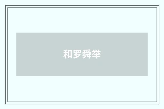 和罗舜举