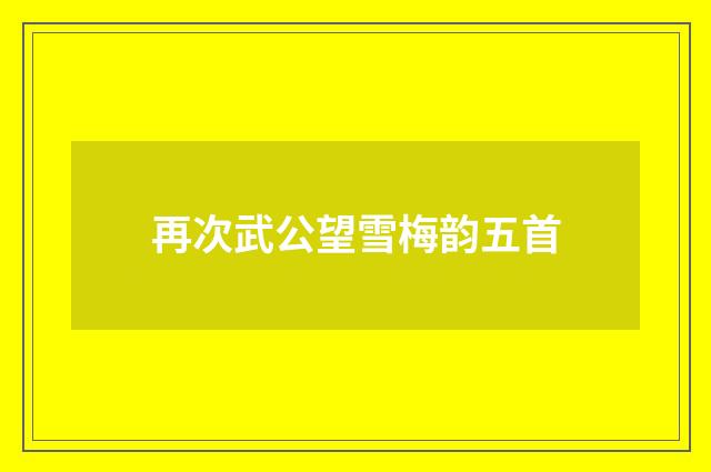 再次武公望雪梅韵五首