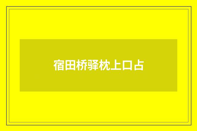 宿田桥驿枕上口占