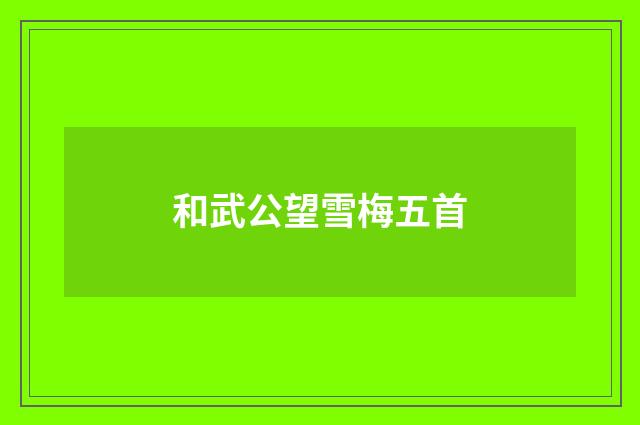 和武公望雪梅五首
