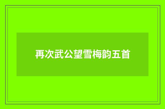 再次武公望雪梅韵五首