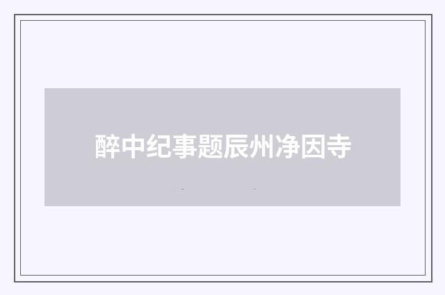 醉中纪事题辰州净因寺