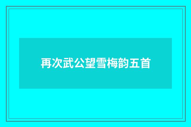 再次武公望雪梅韵五首