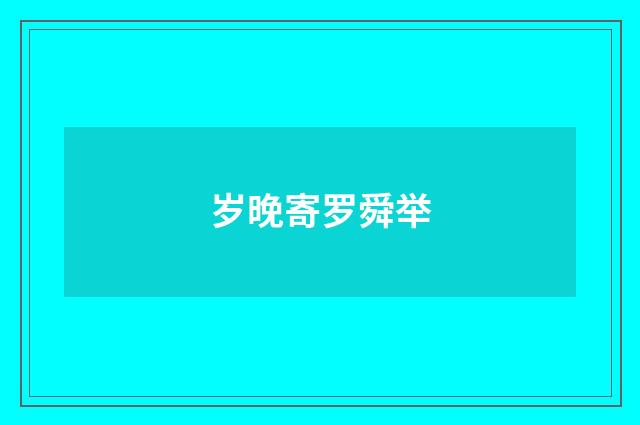 岁晚寄罗舜举