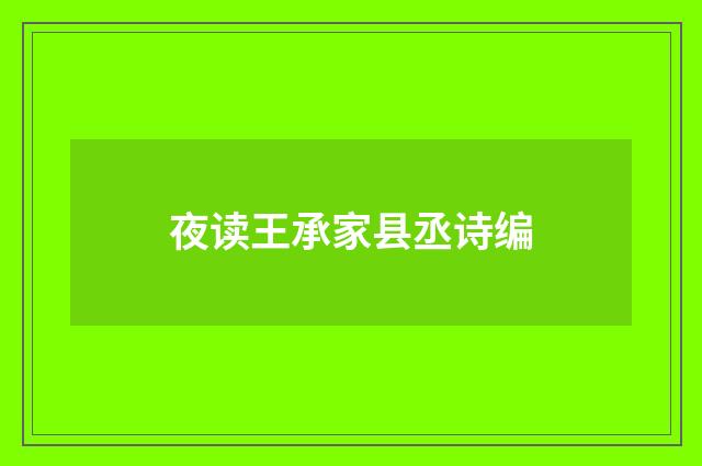 夜读王承家县丞诗编