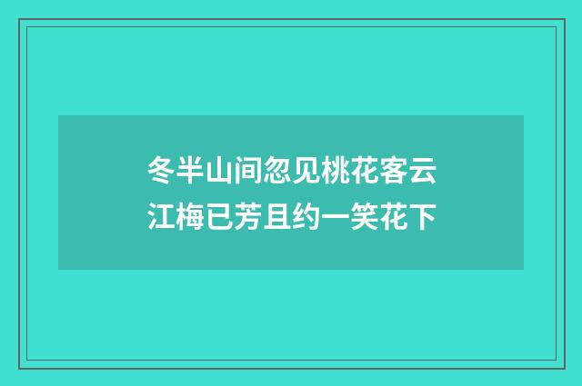 冬半山间忽见桃花客云江梅已芳且约一笑花下