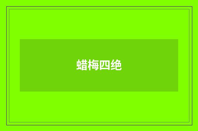 蜡梅四绝